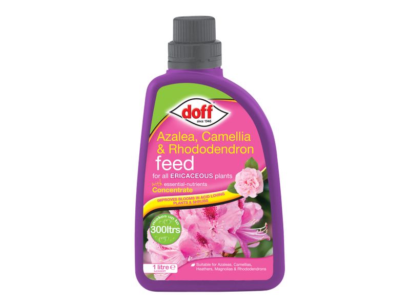 DOFF DOFFJZA00DOF Azalia, Camellia, Rhododendron Feed Concentrate 1 litre