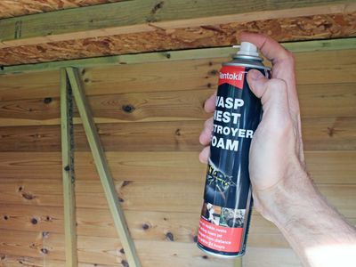 Rentokil RKLPSW97 Wasp Nest Destroy Foam Aerosol 300ml