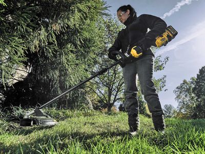DEWALT DEWDAS5713X1 DCMAS5713X1 XR FlexVolt Split Boom System + Grass Trimmer 54V 1 x 3.0Ah Li-ion