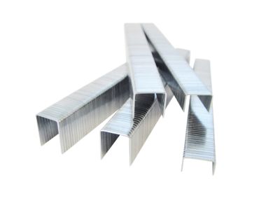 Tacwise TAC0345 140 Heavy-Duty Staples 6mm (Type T50  G) (Pack 2000)