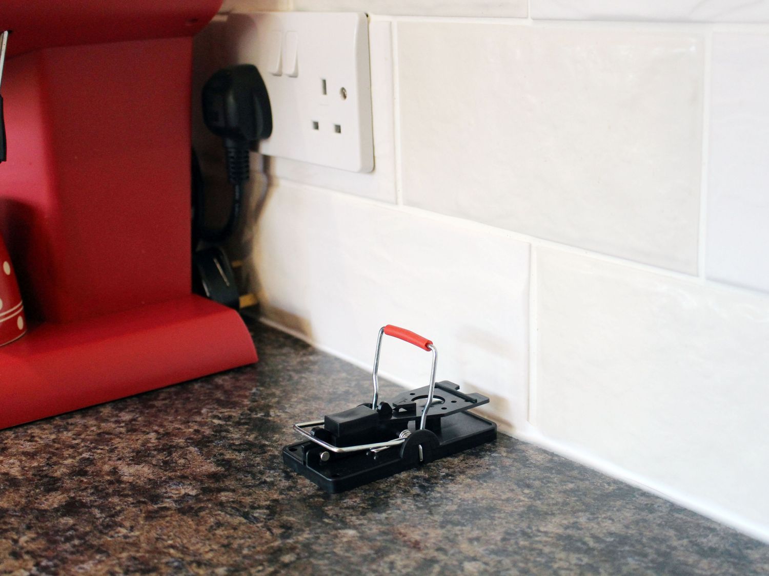 Rentokil RKLFM63 Advanced Mouse Trap (Twin Pack)