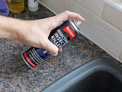 Rentokil RKLPS136 Insectrol - Insect Killer Spray Aerosol 250ml