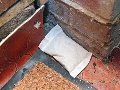 Rentokil RKLFM24 Mouse &amp; Rat Odour Sachet