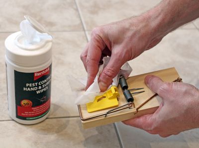 Rentokil RKLFPW44 Pest Control Hand &amp; Surface Wipes