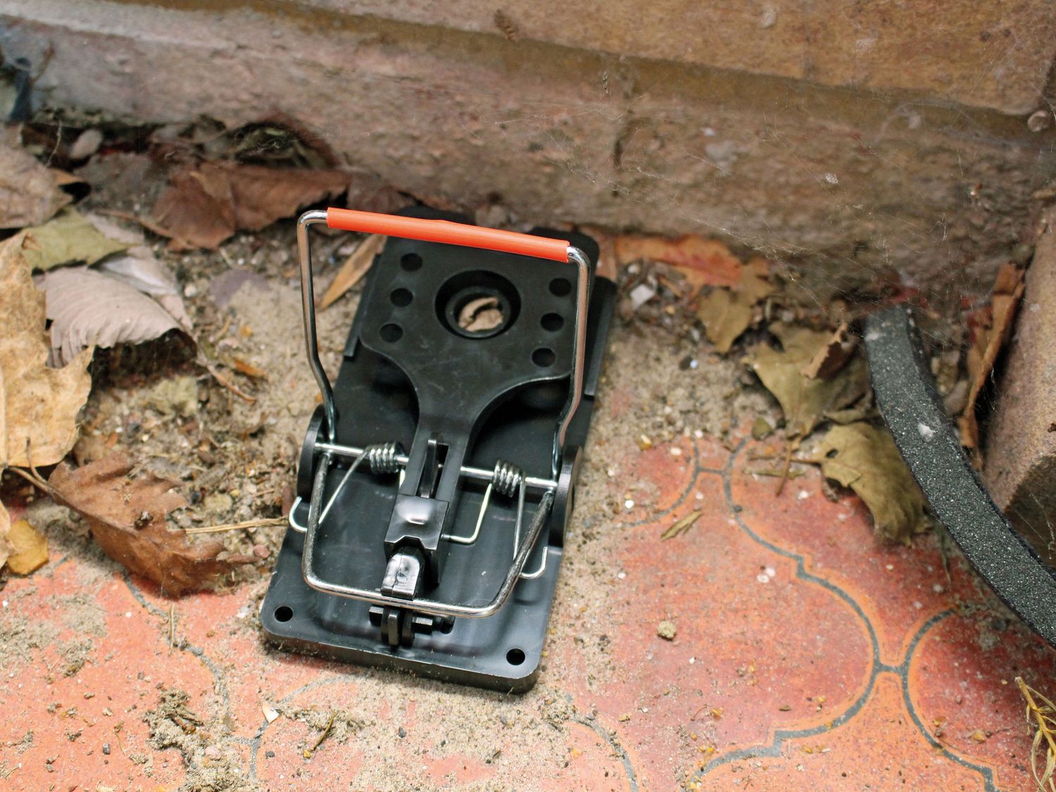 Rentokil RKLFR51 Advanced Rat Trap (Twin Pack)