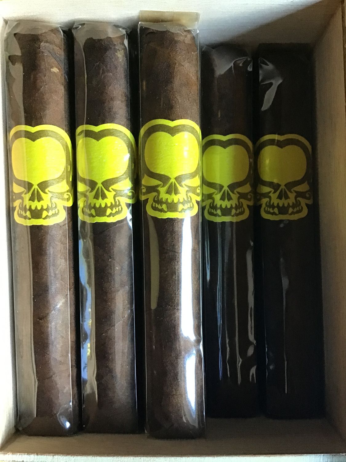 Asylum Split Personality 40x4