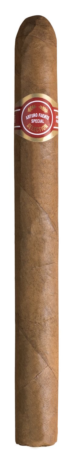 Fuente Curlyhead Deluxe Natural