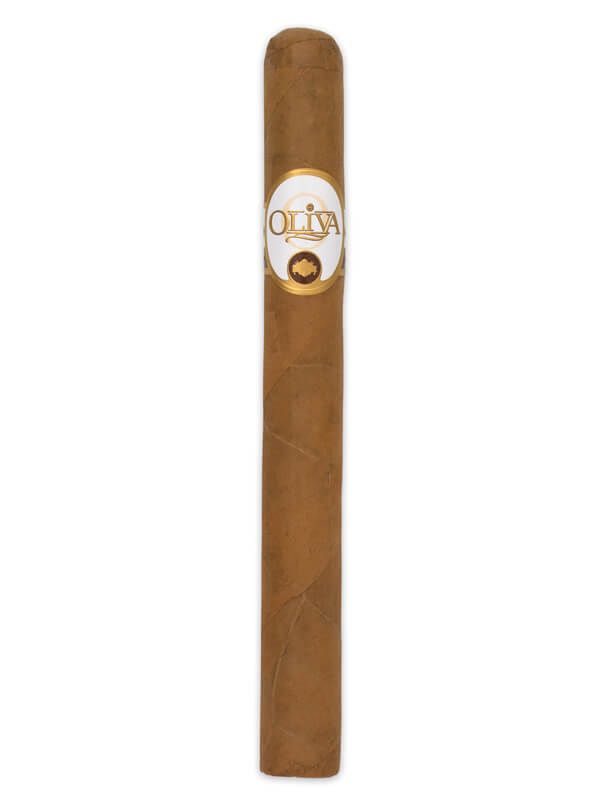 Oliva Connecticut Churchill