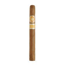 El Rey Del Mundo Shade Lonsdale
