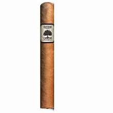 Charter Oak Shade Toro