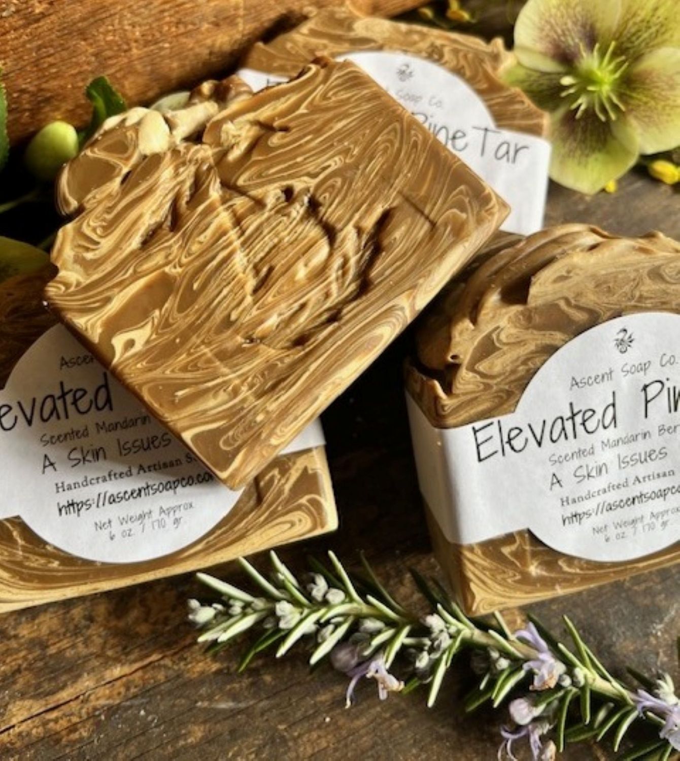 Elevated Pine Tar