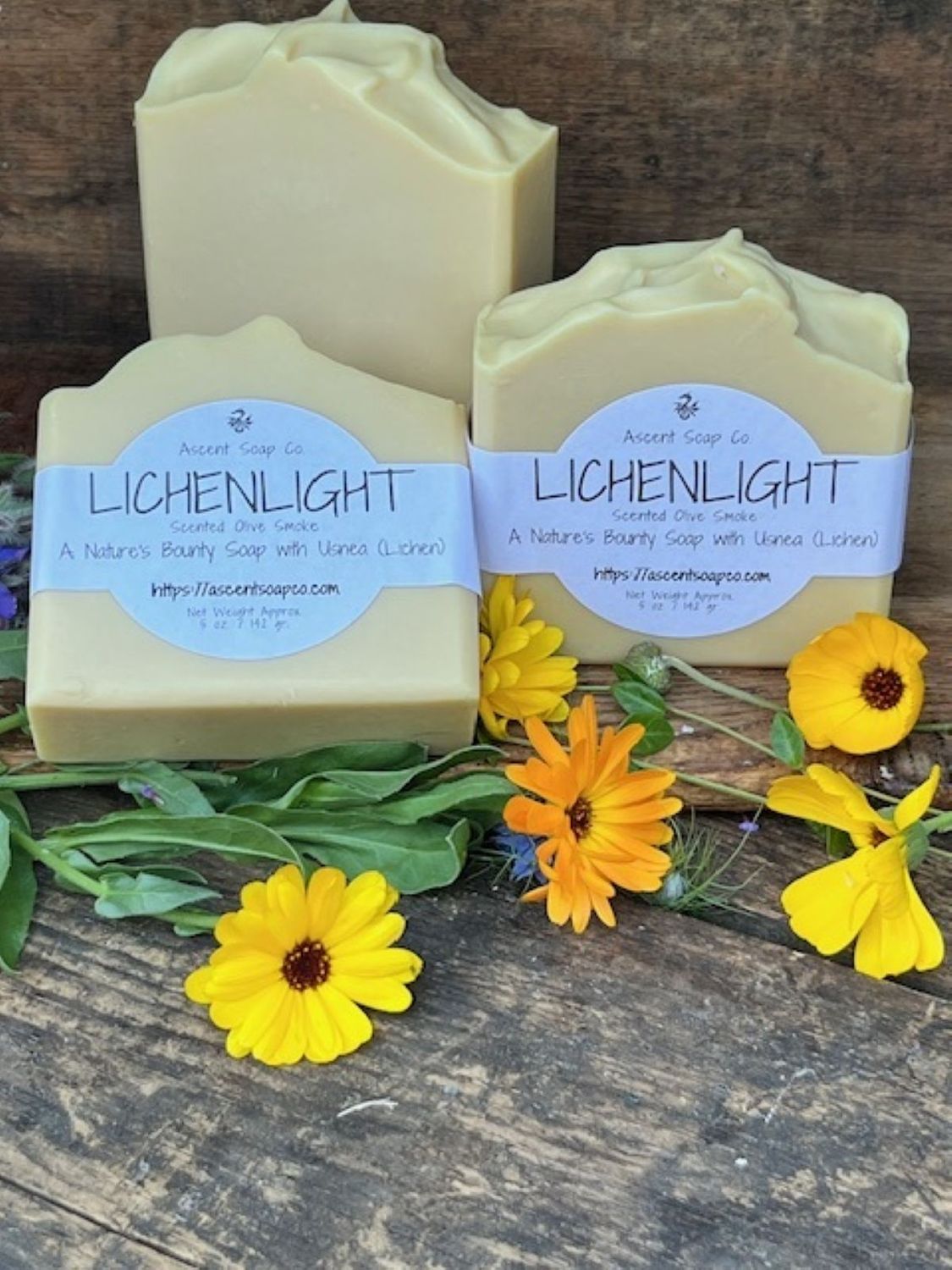 Lichenlight