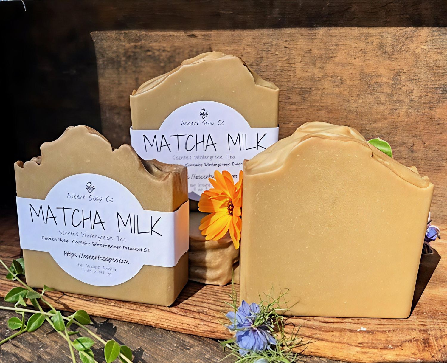 Matcha Milk