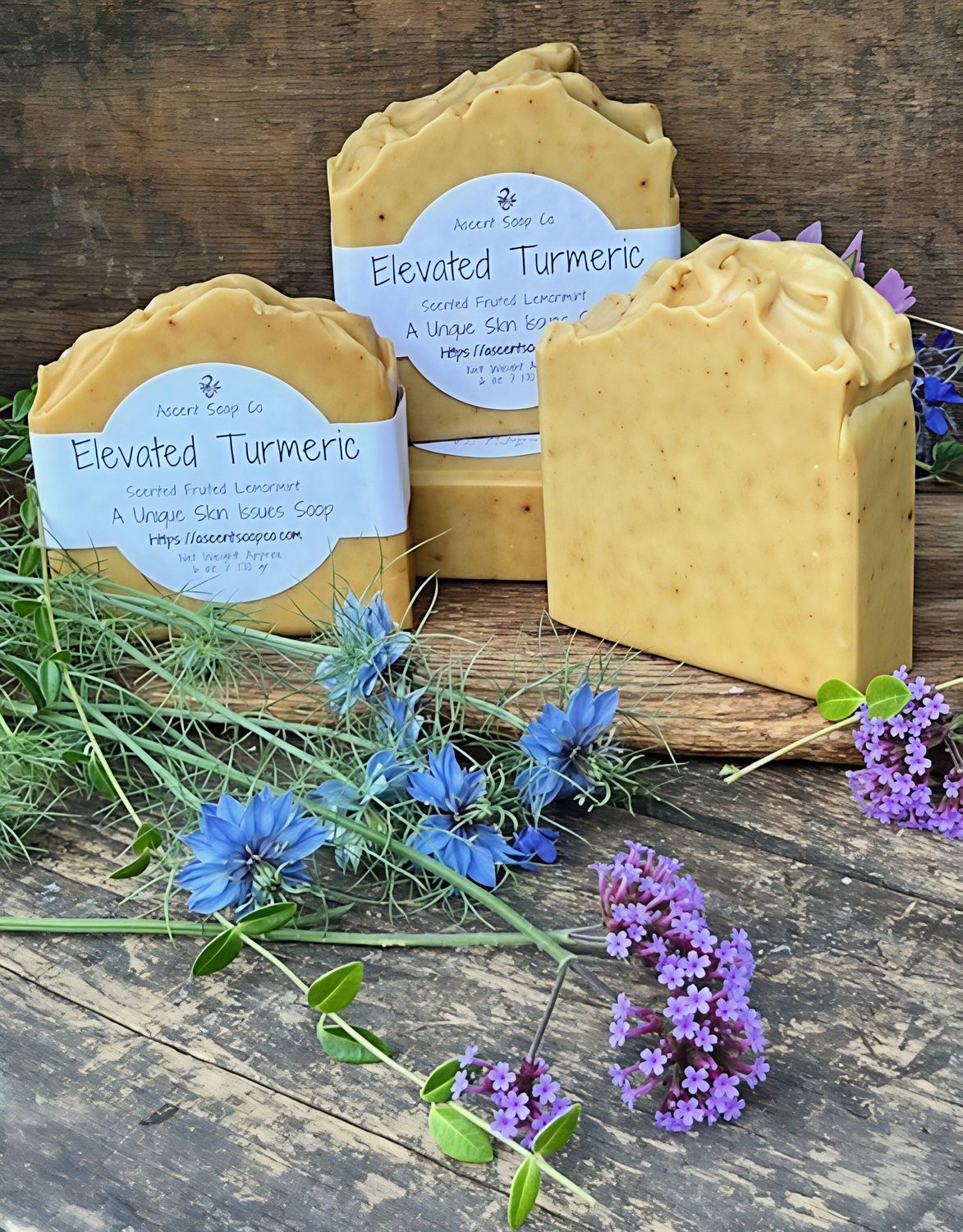 Elevated Turmeric