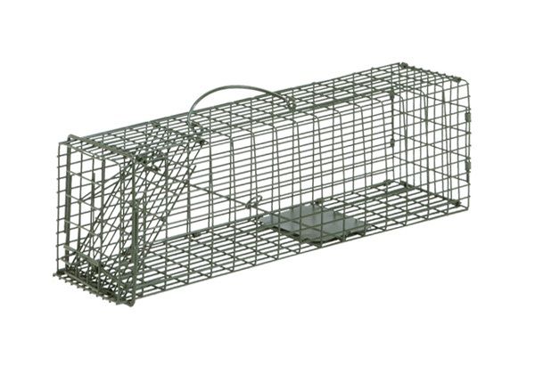 Duke Single Door Cage Trap 1100