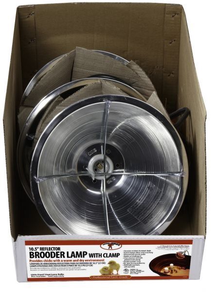 Clamp-On Brooder Lamp with 10-1/2" Metal Reflector, 18/2 SJT Outlet Cord 8ft
