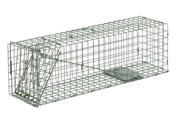 Duke Single Door Cage Trap 1105