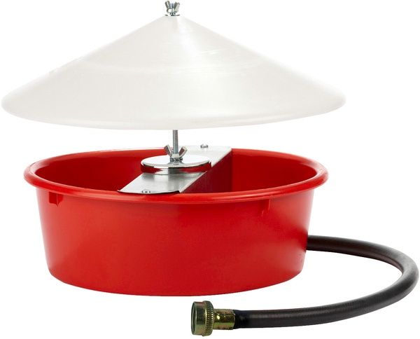 Little Giant Auto Poultry Waterer with Cover