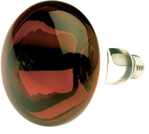 Infrared Heat Lamp Reflector Light Bulb 250-Watt R40 E26 Red