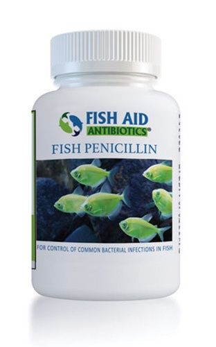 Fish Penicillin 500mg 30-Tablets
