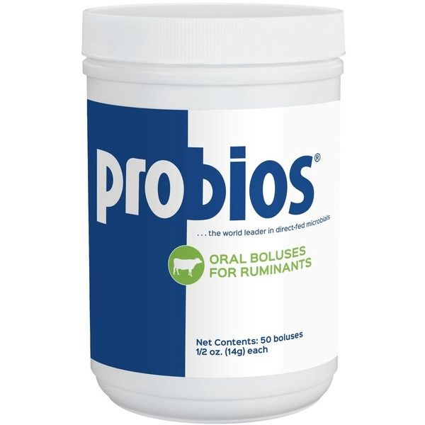 Probios Oral Boluses 1/2-oz 50-ct