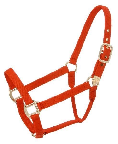 HORSE HALTER NYLON STANDARD ADJUSTABLE FULL