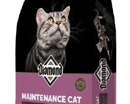 Diamond Cat Maintenance
