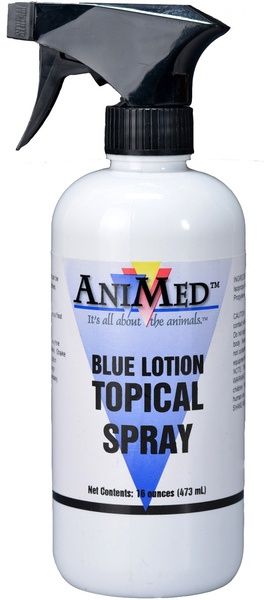 BLUE LOTION 16OZ SPRAY