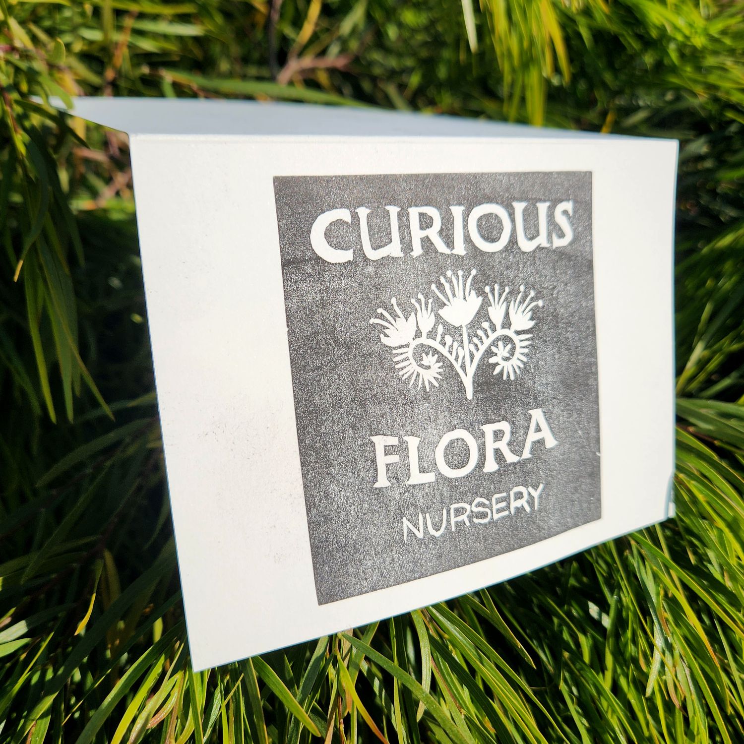 Curious Flora Gift Card - $300