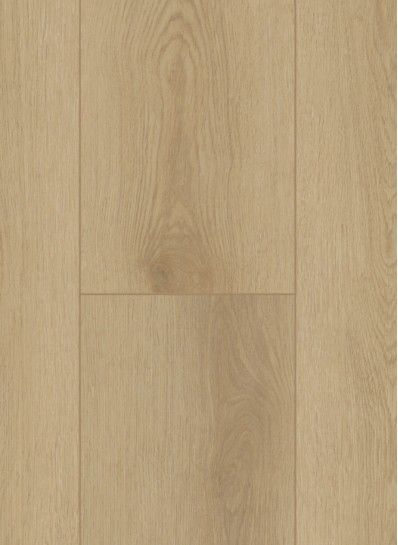 Firmfit 6500 (dryback) Sierra light