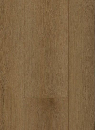 Firmfit 6503 (dryback) Sierra Brown