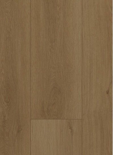 Firmfit 6703 (dryback) Summerfield Sand