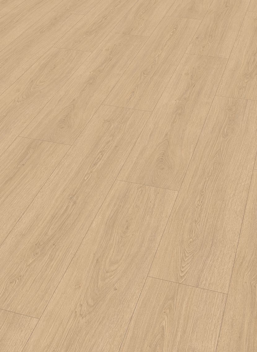 Lion 8 mm 2027 Gamble Oak Light