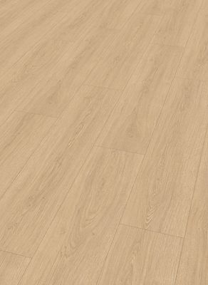 Lion 8 mm 2027 Gamble Oak Light