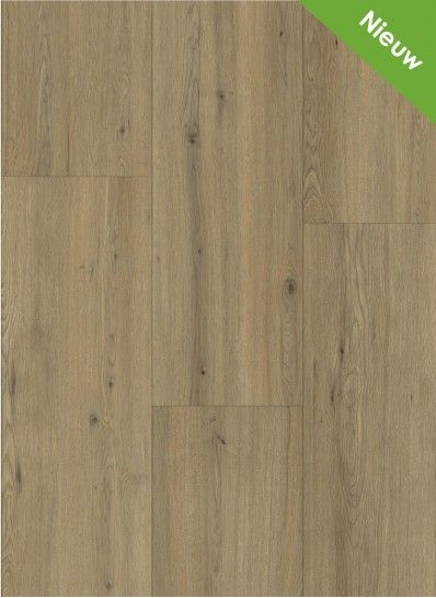 Momento 80631 Disentis Oak