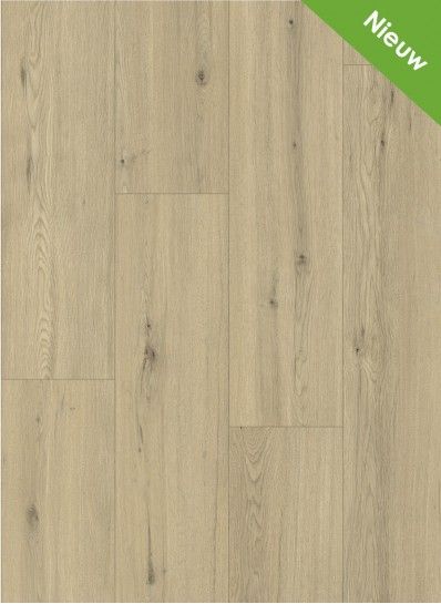 Momento 80641 Chur Oak