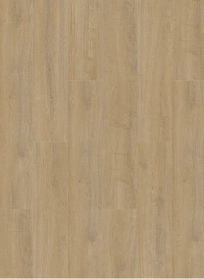 Oakland 6100 (dryback) Lime