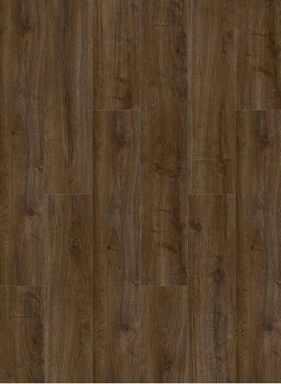 Oakland 6103 (dryback) Coffee