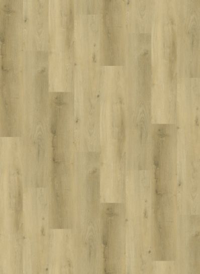 Vario 5904 (rigid click) Prestige Oak Light