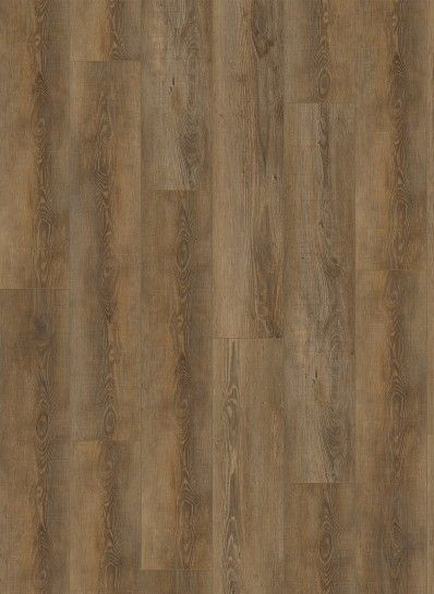 Galasta City 5604 (rigid click) Olympia Pine Natural
