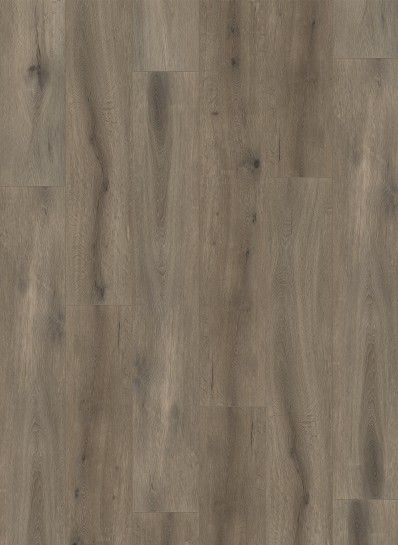 Gelasta Callisto 5105 (rigid click)
