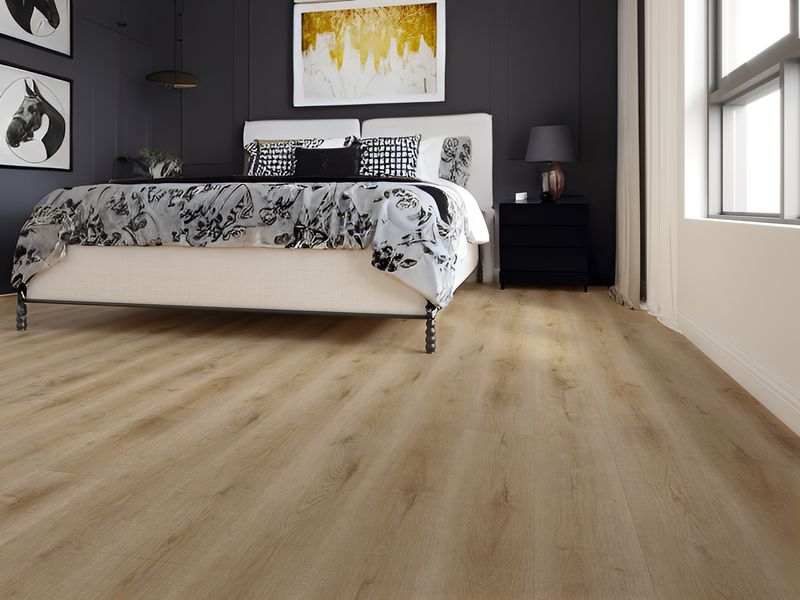 Gelasta Dynamic 2501 (dryback)