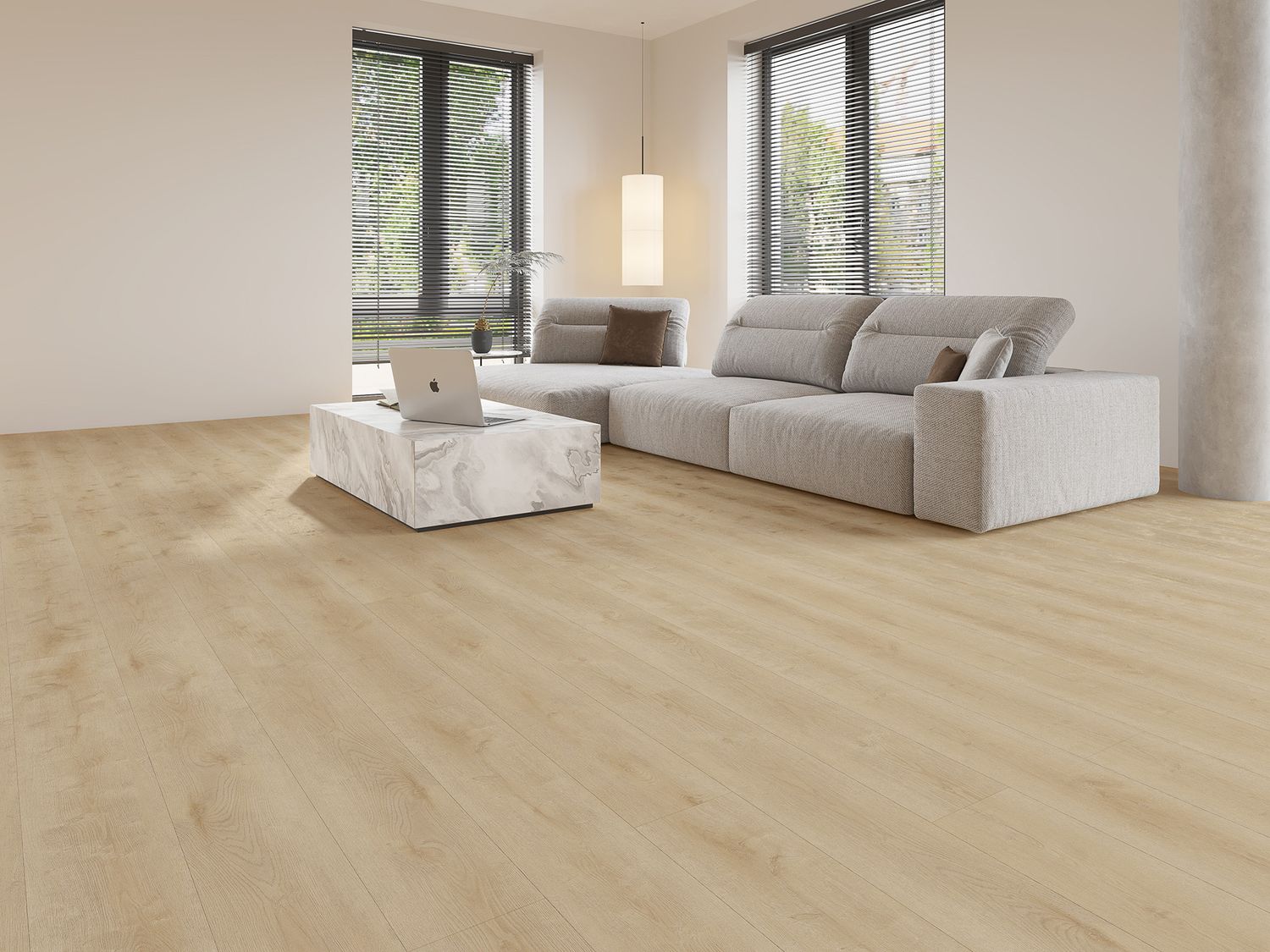 Gelasta Dynamic 2500 (dryback)