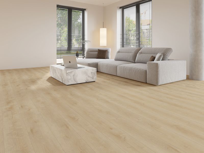 Gelasta Dynamic 2500 (dryback)