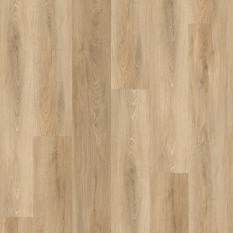 TreeFloor Check Comfort SPC 2513 Montenegro