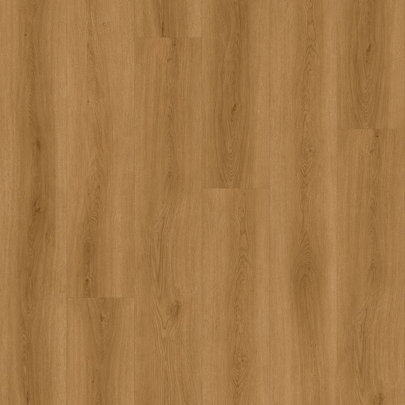 TreeFloor Check Comfort SPC 2511 Albera Intercombi