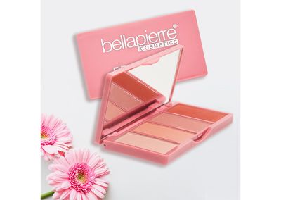 BP Pro Blush Quad Palette