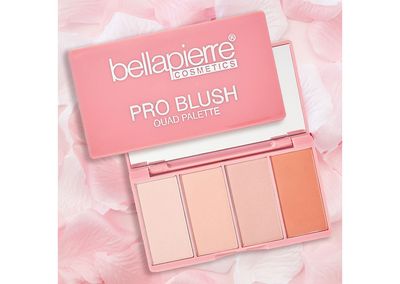BP Pro Blush Quad Palette