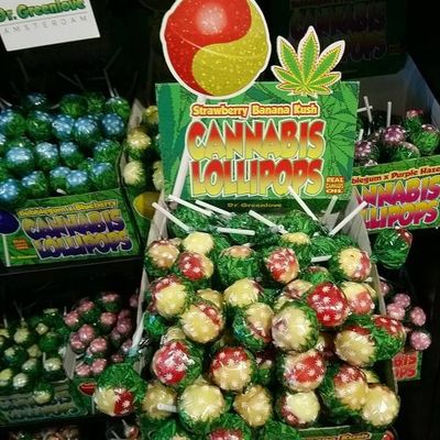CBD Lollipops