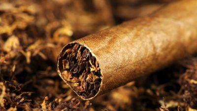 Cigars